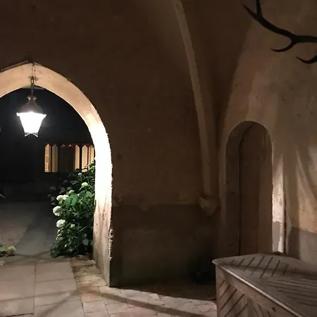 Chateau De Vesset Bed & Breakfast