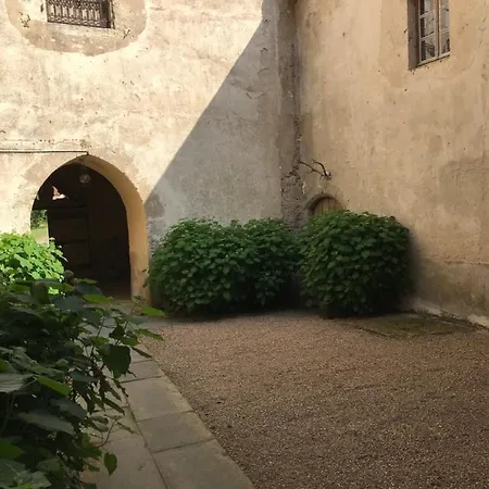 Chateau De Vesset Bed & Breakfast