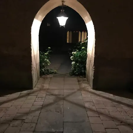 Chateau De Vesset Bed & Breakfast 4*