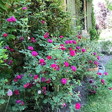 Bed & Breakfast Chateau De Vesset